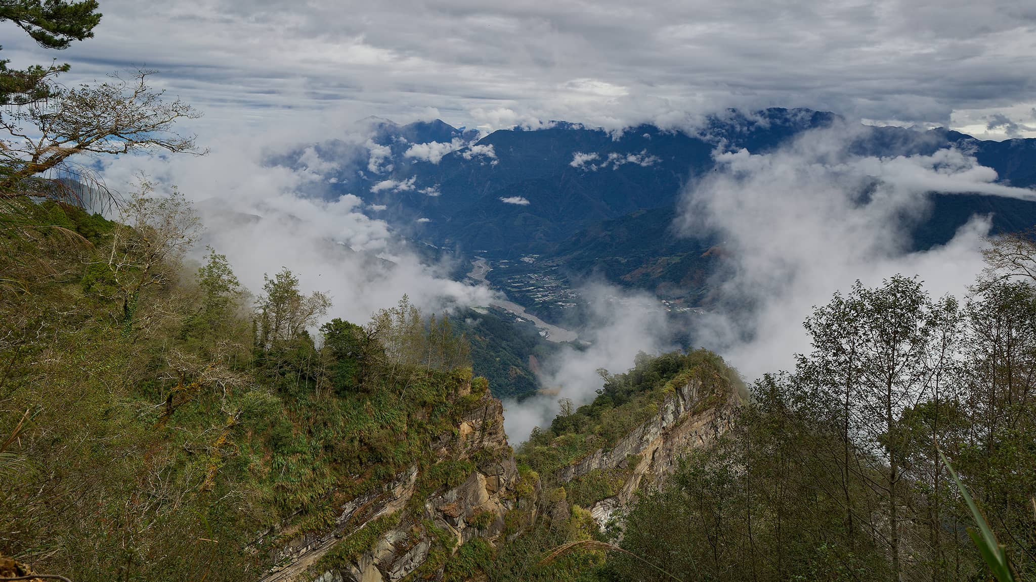 05 - Alishan (68).jpg